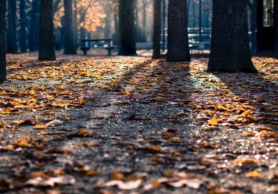HOW DOES STRESS MANAGEMENT COUNSELING WORK?